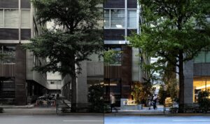 slitpark_beforeafter